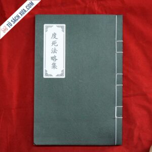 Độ tử pháp song ngữ
