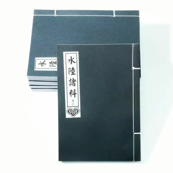 Bộ thủy lục mini